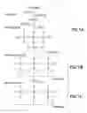 Fig. 02 - ELASTOMER COMPOSITIONS WITH SILANE FUNCTIONALIZED SILICA AS REINFORCING FILLERS