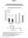 Fig. 03 - METHODS FOR TREATMENT OF WOUND HEALING UTILIZING CHEMICALLY MODIFIED OLIGONUCLEOTIDES