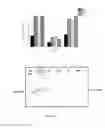 Fig. 06 - Process for transformation in plants to increase secondary metabolite content