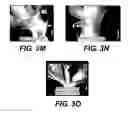 Fig. 09 - Compositions and methods for altering flowering and plant architecture to improve yield potential