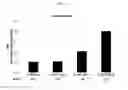 Fig. 07 - Expression vector for expressing heterogeneous gene