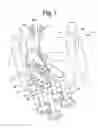 Fig. 02 - Compression-release engine brake system for lost motion rocker arm assembly and method of operation thereof