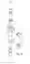 Fig. 07 - Hose coupling