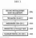 Fig. 02 - Methods of manufacturing a photoalignment layer and a liquid crystal display