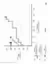 Fig. 09 - Waypoint generation for adaptive flash tuning