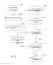 Fig. 07 - System and method for creating and executing breach scenarios utilizing virtualized elements
