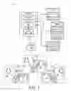 Fig. 02 - Secure Digital Asset Distribution System and Methods