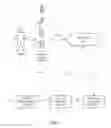 Fig. 02 - Detecting carriers for mobile devices