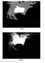 Fig. 05 - METHOD AND APPARATUS FOR IMAGE COLORIZATION