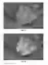 Fig. 07 - METHOD AND APPARATUS FOR IMAGE COLORIZATION