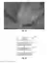 Fig. 08 - METHOD AND APPARATUS FOR IMAGE COLORIZATION