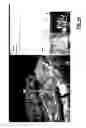 Fig. 24 - Virtualized site survey systems and methods for cell sites