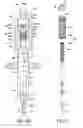 Fig. 03 - DEVICE FOR HANDLING AN ABSORBENT CONTROL ROD OF A NUCLEAR REACTOR