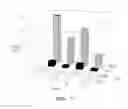 Fig. 08 - Glass composition for vitrifying mixed waste product