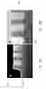 Fig. 11 - Atomic layer deposition of silicon carbon nitride based materials