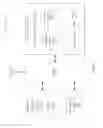 Fig. 03 - METHOD, APPARATUS AND SYSTEM OF MANAGING AN ENCODER OUTPUT RATE BASED UPON WIRELESS COMMUNICATION LINK FEEDBACK