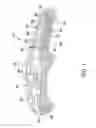 Fig. 02 - Pet grooming assembly