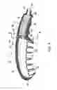 Fig. 05 - Pet grooming assembly