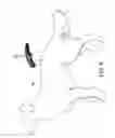 Fig. 07 - Pet grooming assembly