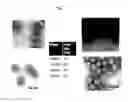 Fig. 02 - Method for treatment and control of plant disease