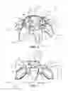Fig. 02 - SHOE SPIKE