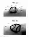 Fig. 02 - Clip for use with a cooking device