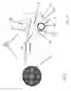 Fig. 02 - Substantially rigid and stable endoluminal surgical suite for treating a gastrointestinal lesion