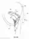 Fig. 45 - Methods of delivering and deploying a heart valve apparatus at a mitral valve