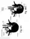 Fig. 09 - Devices and methods for spinal stabilization and instrumentation