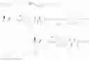Fig. 242 - Cytotoxic peptides and conjugates thereof