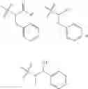 Fig. 306 - Cytotoxic peptides and conjugates thereof