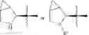 Fig. 390 - Cytotoxic peptides and conjugates thereof