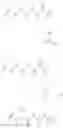 Fig. 616 - Cytotoxic peptides and conjugates thereof
