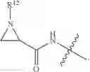 Fig. 621 - Cytotoxic peptides and conjugates thereof
