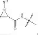 Fig. 670 - Cytotoxic peptides and conjugates thereof