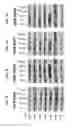 Fig. 25 - METHODS OF TREATING PATIENTS HAVING MUTATIONS IN THE EXTRACELLULAR DOMAIN OF EPIDERMAL GROWTH FACTOR RECEPTOR (EGFR) WITH A COMBINATION OF THREE FULLY HUMAN MONOCLONAL ANTI-EGFR ANTIBODIES