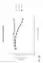 Fig. 49 - METHODS OF TREATING PATIENTS HAVING MUTATIONS IN THE EXTRACELLULAR DOMAIN OF EPIDERMAL GROWTH FACTOR RECEPTOR (EGFR) WITH A COMBINATION OF THREE FULLY HUMAN MONOCLONAL ANTI-EGFR ANTIBODIES