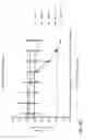 Fig. 58 - METHODS OF TREATING PATIENTS HAVING MUTATIONS IN THE EXTRACELLULAR DOMAIN OF EPIDERMAL GROWTH FACTOR RECEPTOR (EGFR) WITH A COMBINATION OF THREE FULLY HUMAN MONOCLONAL ANTI-EGFR ANTIBODIES