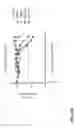 Fig. 69 - METHODS OF TREATING PATIENTS HAVING MUTATIONS IN THE EXTRACELLULAR DOMAIN OF EPIDERMAL GROWTH FACTOR RECEPTOR (EGFR) WITH A COMBINATION OF THREE FULLY HUMAN MONOCLONAL ANTI-EGFR ANTIBODIES