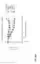 Fig. 74 - METHODS OF TREATING PATIENTS HAVING MUTATIONS IN THE EXTRACELLULAR DOMAIN OF EPIDERMAL GROWTH FACTOR RECEPTOR (EGFR) WITH A COMBINATION OF THREE FULLY HUMAN MONOCLONAL ANTI-EGFR ANTIBODIES