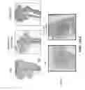 Fig. 10 - Passive immunization for infections