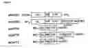 Fig. 02 - T-cell receptor-deficient T cell compositions
