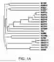Fig. 02 - Biological indicator