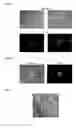Fig. 06 - Methods and products for transfecting cells