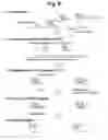 Fig. 07 - Detection of target nucleic acid sequences by PTO cleavage and extension assay