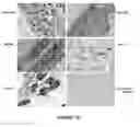 Fig. 02 - Methods for the Prognosis of Breast Cancer