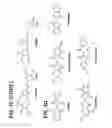 Fig. 07 - Functional illumination in living cells