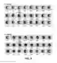 Fig. 09 - Functional illumination in living cells