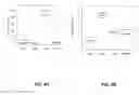 Fig. 07 - Quantification of glucocorticoids in fish scales as biomarkers for chronic stress