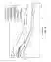 Fig. 13 - Seismic stratigraphic surface classification